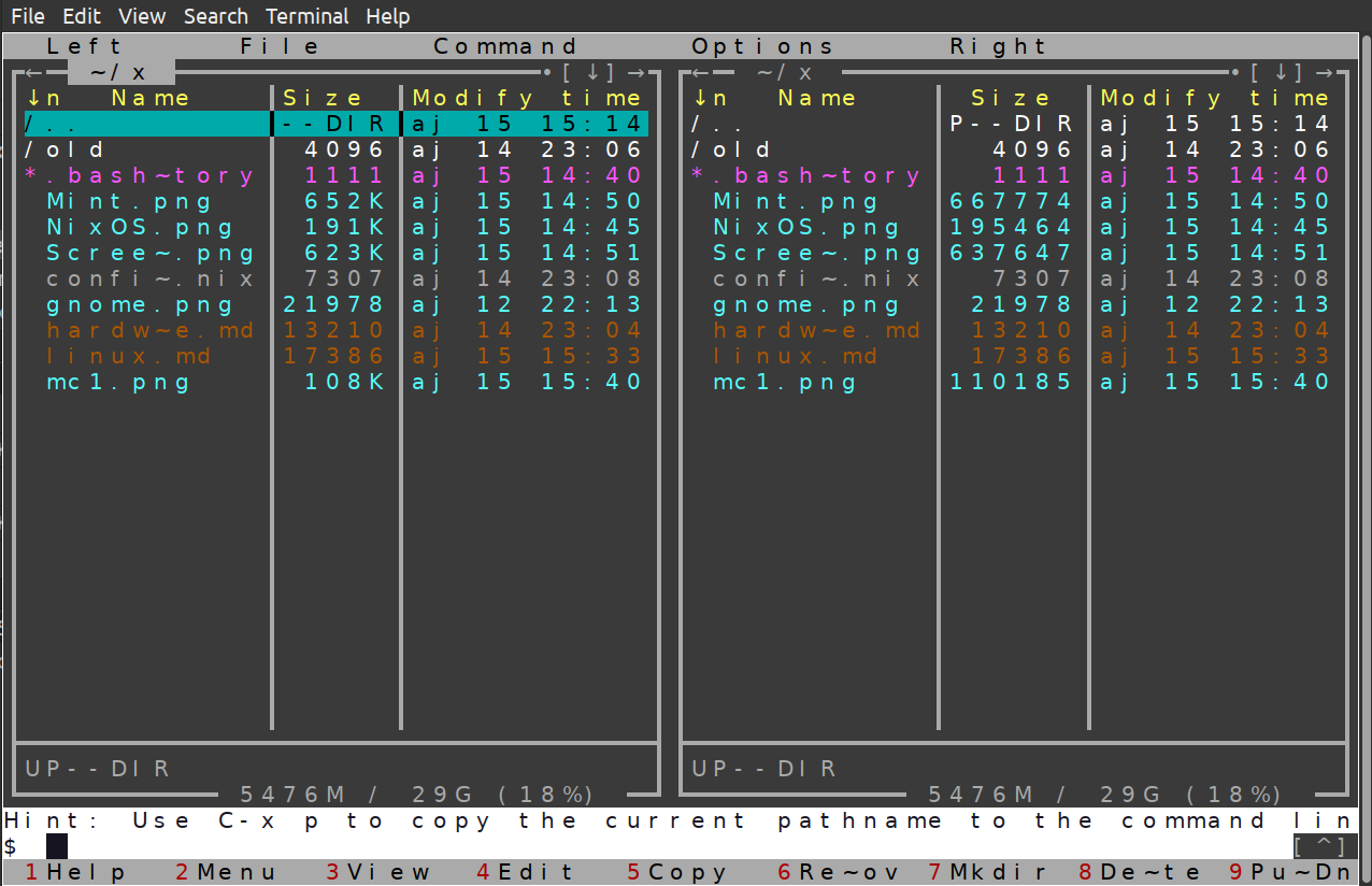 MC in NixOS